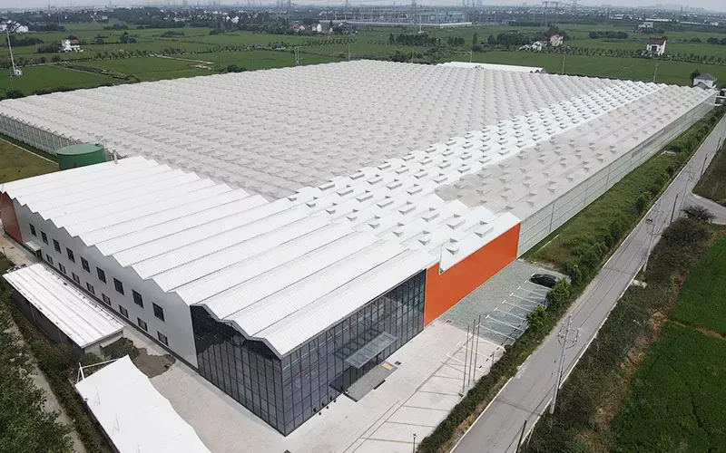 Glass Greenhouseの機能と用途は何ですか？