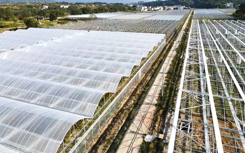 尾根を探索する - 換気されたプラスチック温室効果生産を増やし、高温の問題を解決する