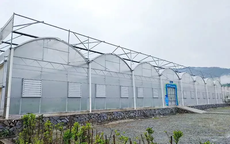 プラスチック温室の技術的変換：倍増するための秘密兵器