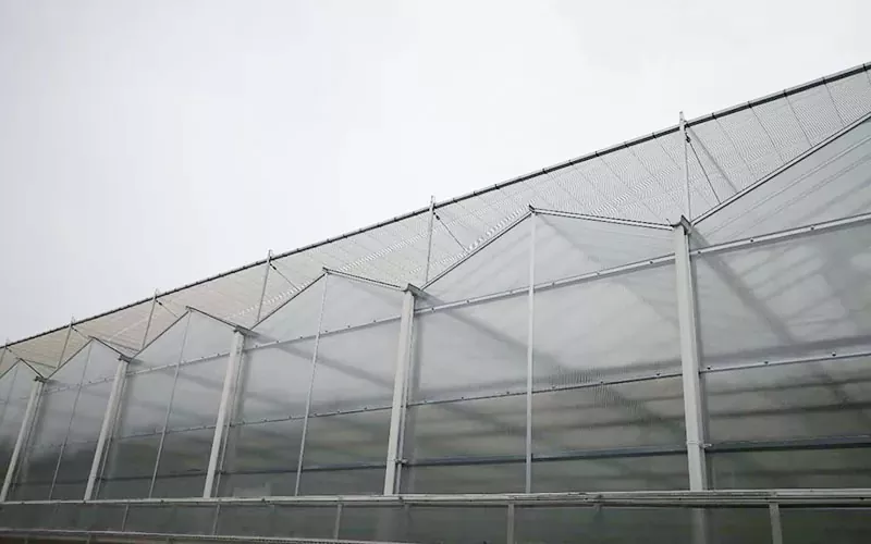 高度なPC温室テクノロジーパイオニアの持続可能な農業
